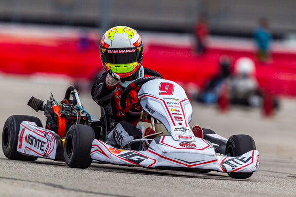 Briggs Kart