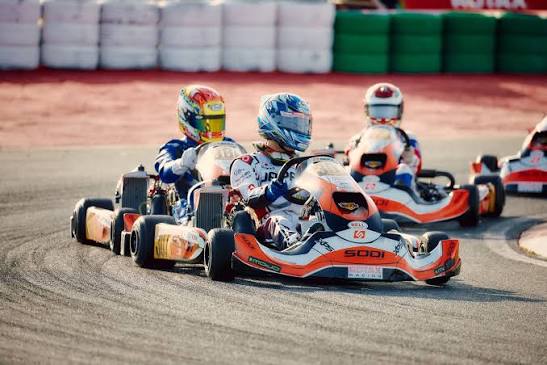 Rotax Max Kart